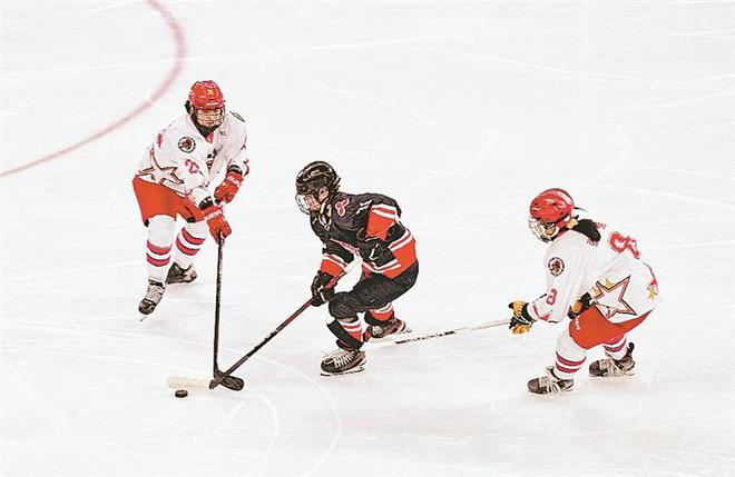 冰球总决赛即将打响，冠军归属成谜的简单介绍