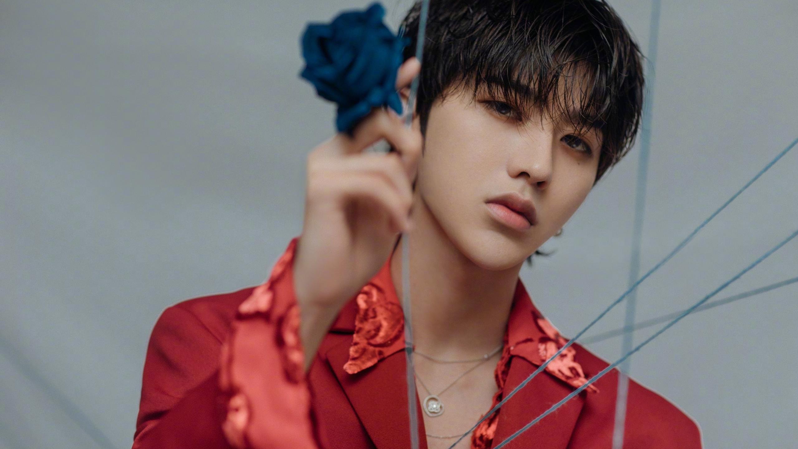 一记撕裂北美夜幕的弧线，布雷默如何让世界杯悬念在惊呼中蒸发