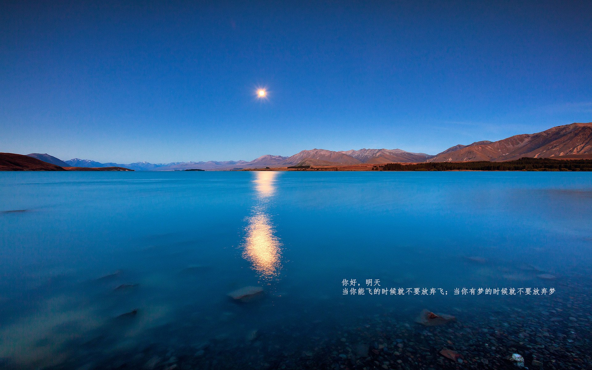 边路利刃与绝境喘息，富安健洋的杀伤哲学与波兰队的生存之道