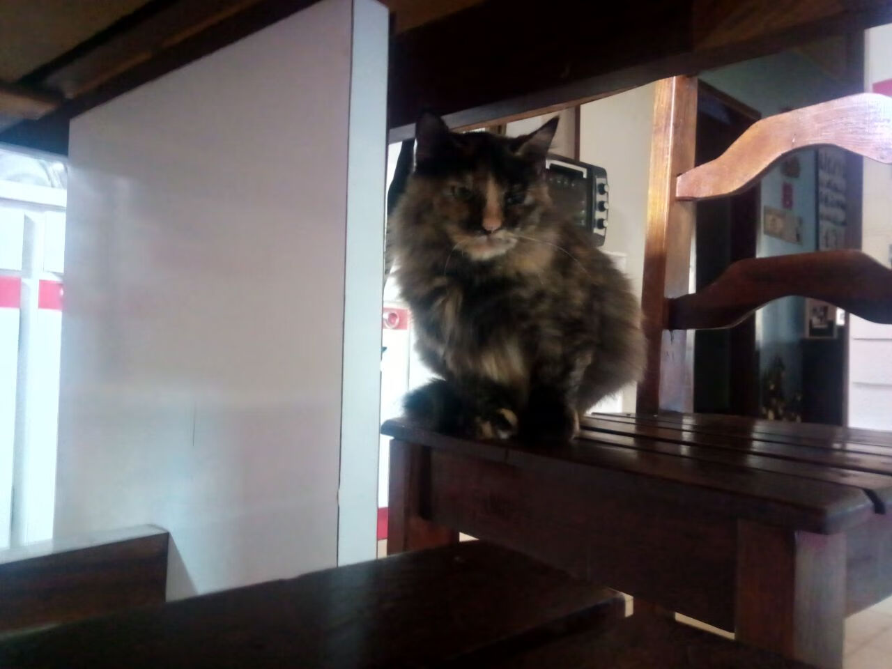 贝蒂斯火力全开压制拉齐奥,京多安持续制造致命杀伤