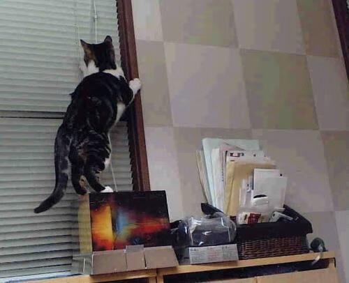 布鲁诺关键一击，伊拉克逆转哥斯达黎加，足球史诗再添新章