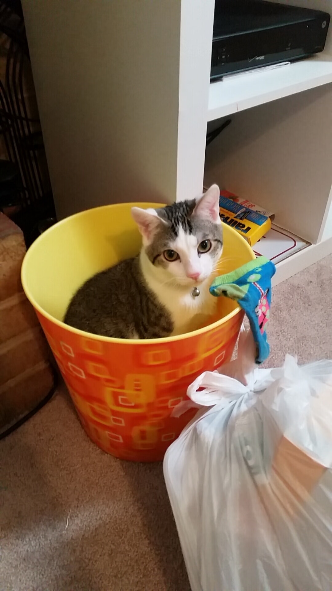 生死战湖人力克辽宁,东契奇全能数据引爆全场