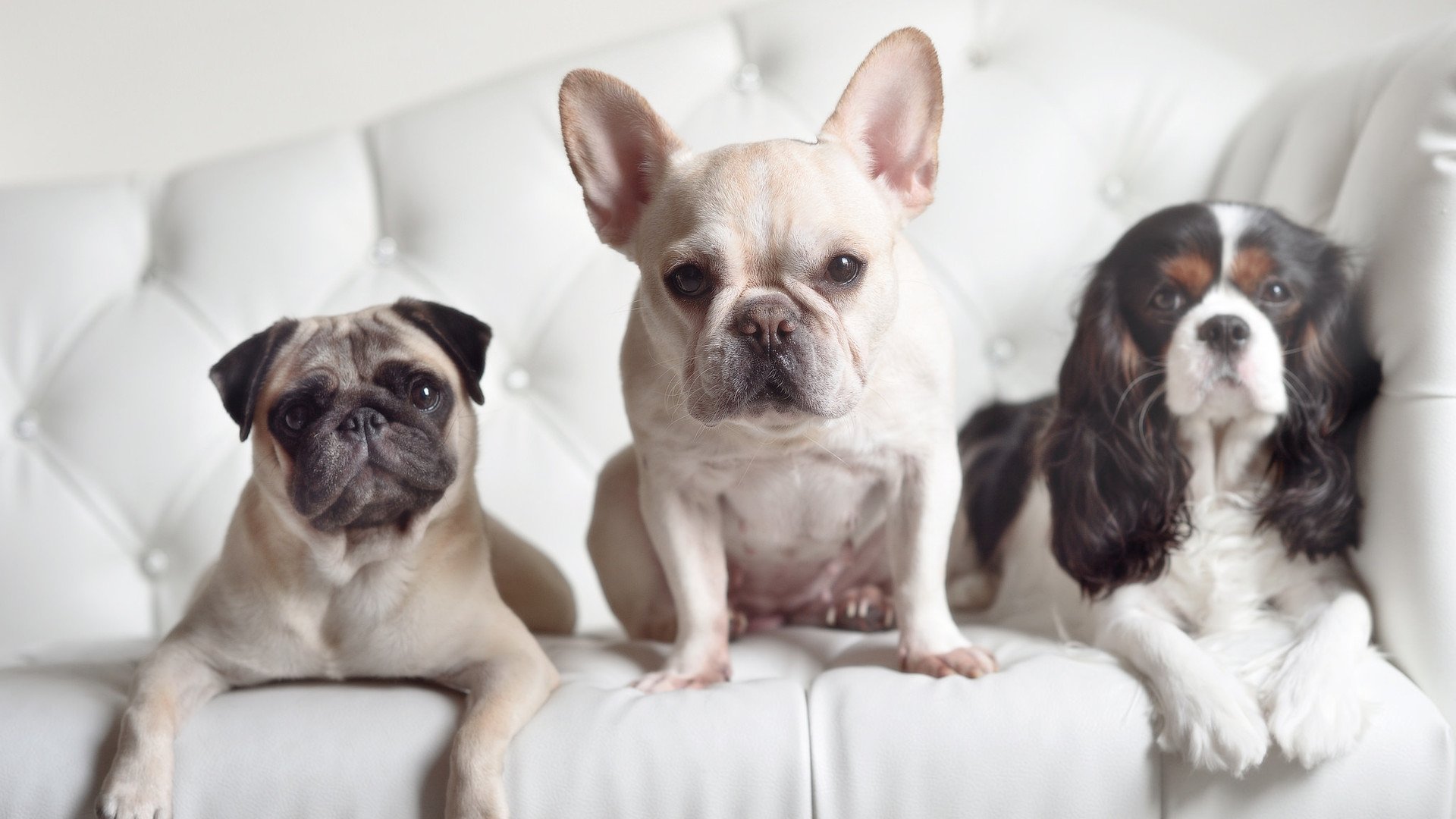 跨越时空的绝杀,当足球与篮球在凌晨三点交汇