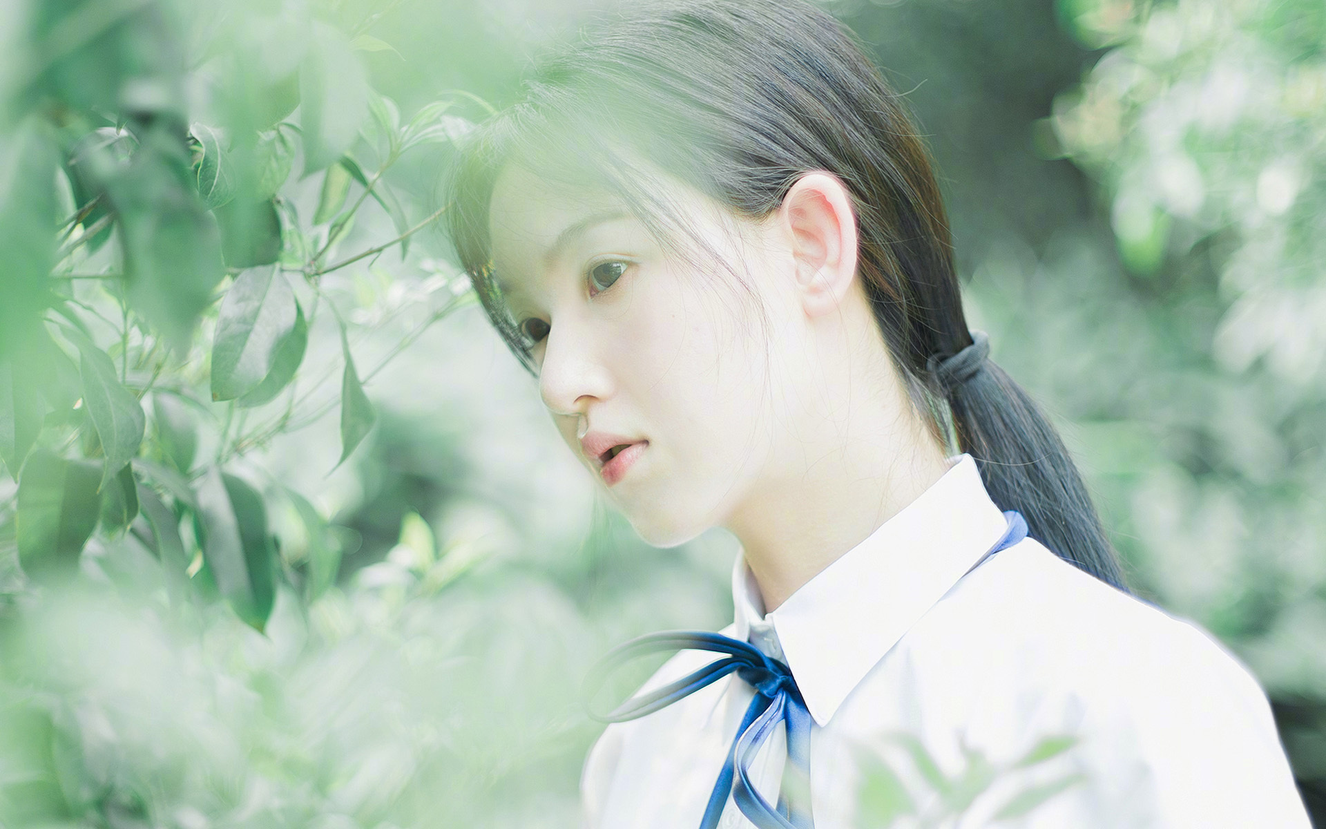 当锡安沉睡时,小贾伦在风暴眼中起舞,谁才是真正的未来巨兽?