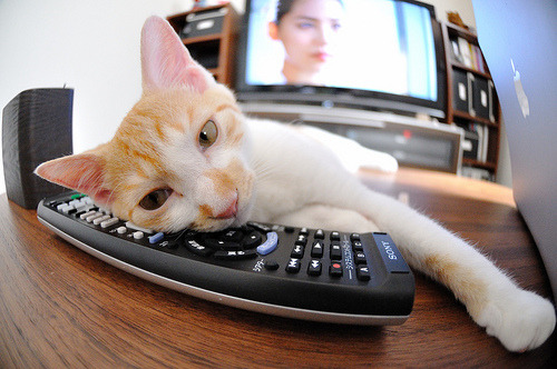 伊布完美发挥铸就经典,巴萨巅峰对决力克芬兰劲旅