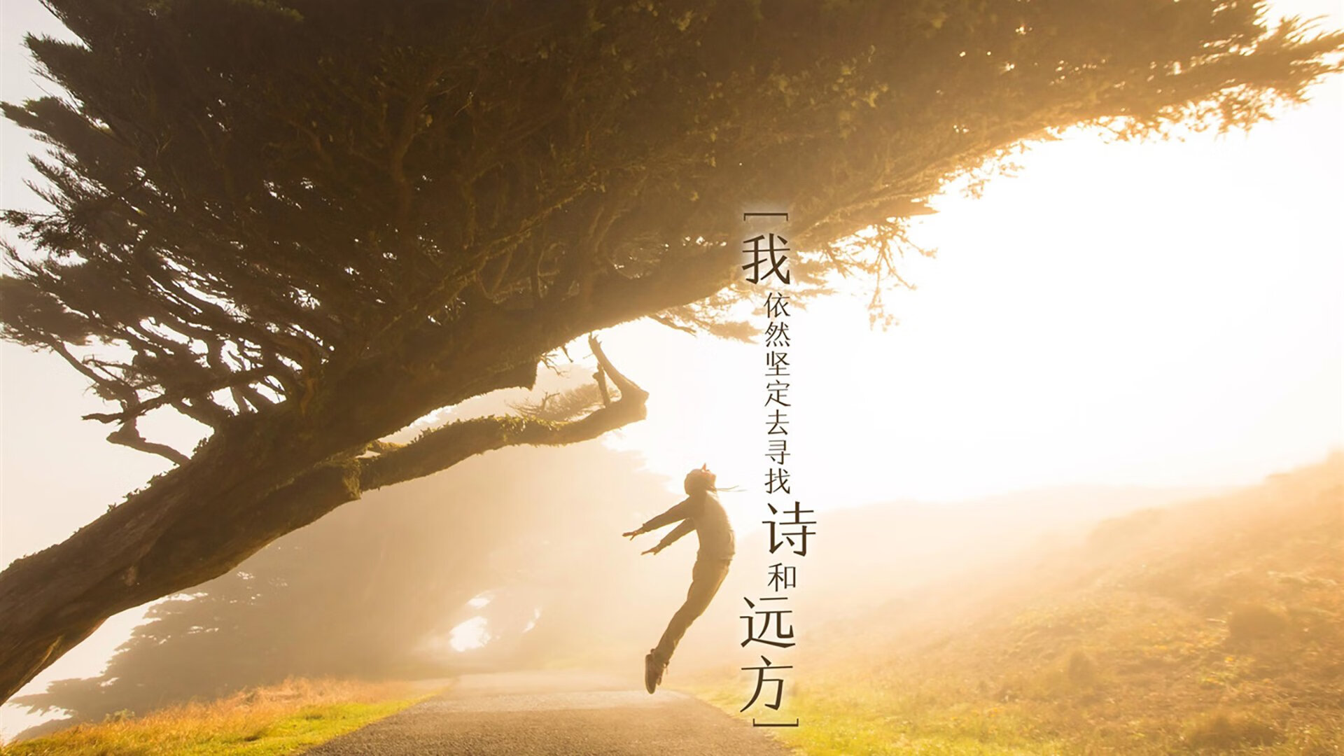 关键战，焦点战！阿森纳的胜利，那不勒斯的启示—奥运周期下的淘汰赛哲学