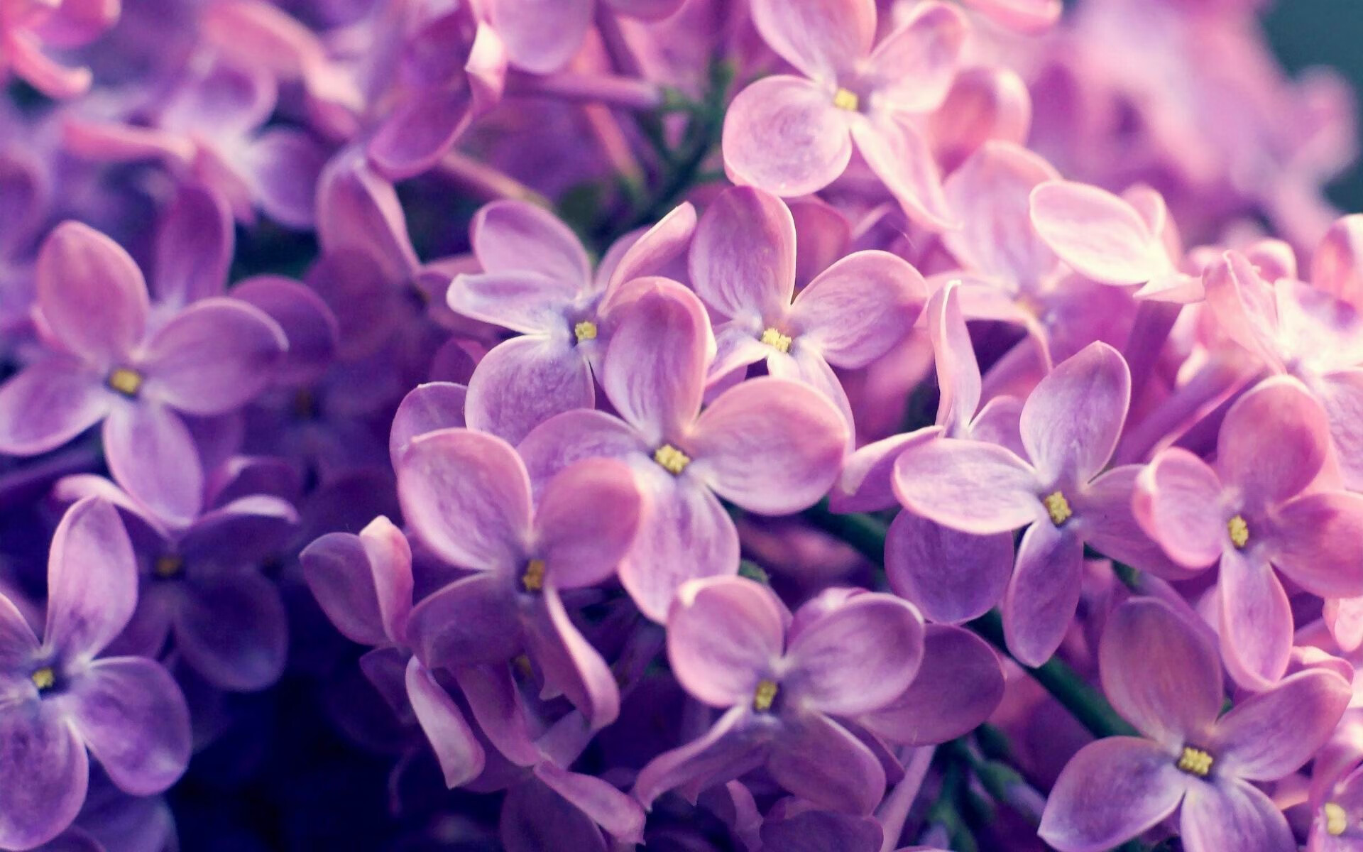 瑞士对阵尼斯，穆勒末节接管比赛，率队上演惊天逆转