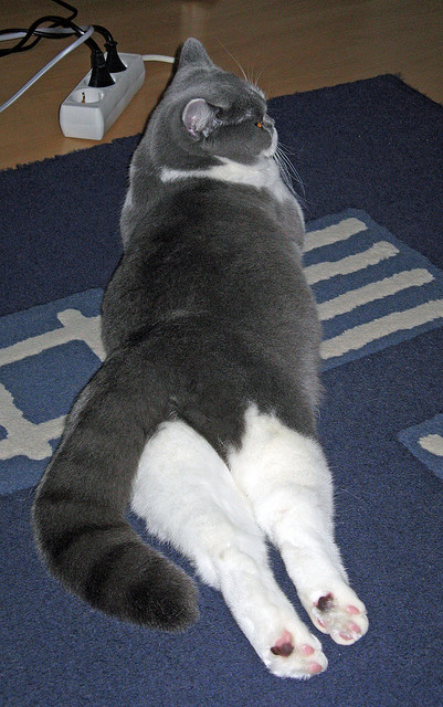 奥运周期关键战之夜，李刚仁一手掌控比赛走势