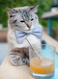 凯尔特人强势压制北京队，莫兰特统治全场引爆篮球盛宴